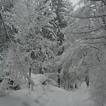 Neuhauser Daire *