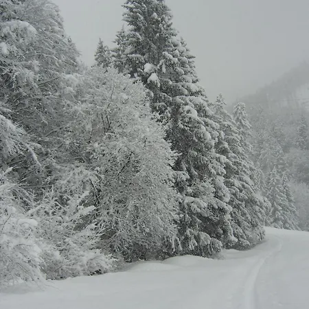 Neuhauser * קראמסאך