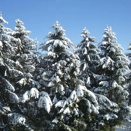 Neuhauser Appartamento