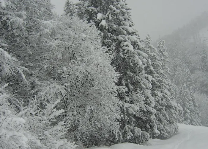 Neuhauser * كرامساش