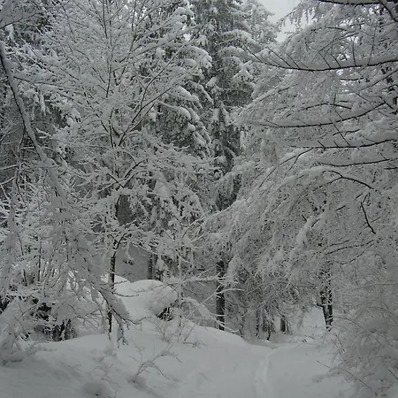 Neuhauser Lejlighed *