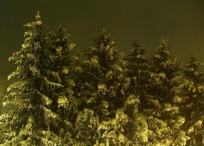 Neuhauser * Kramsach