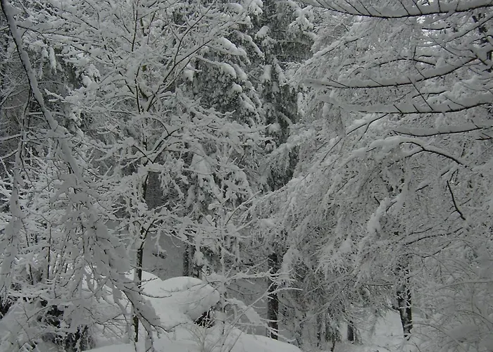 Neuhauser Appartement *